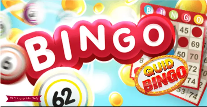 Bingo bei Mr green casino